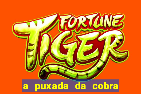 a puxada da cobra no jogo do bicho