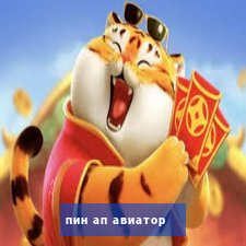 пин ап авиатор