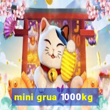 mini grua 1000kg