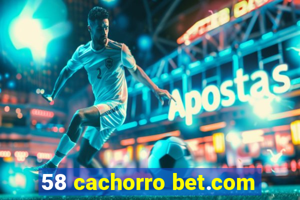 58 cachorro bet.com