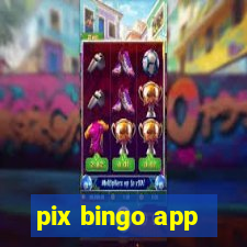 pix bingo app