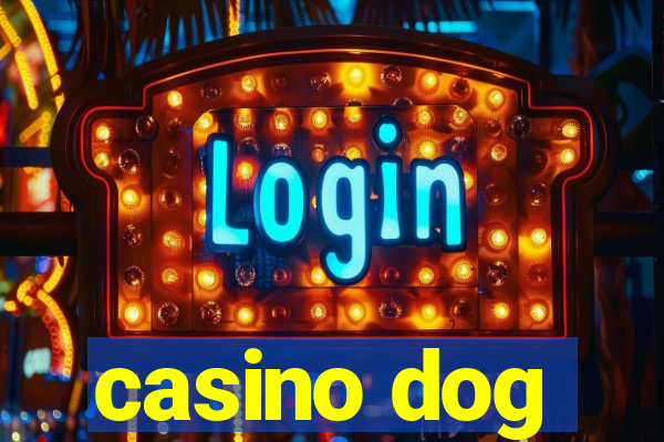 casino dog