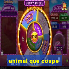 animal que cospe