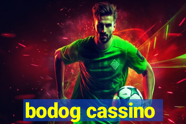 bodog cassino