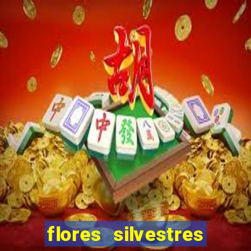 flores silvestres novela turca en español