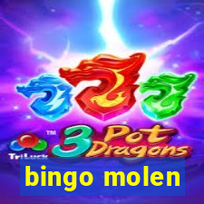 bingo molen