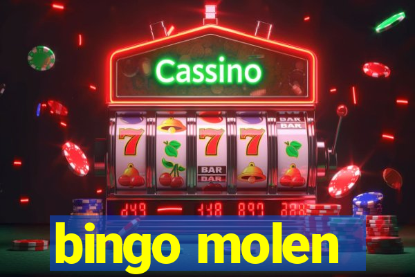 bingo molen