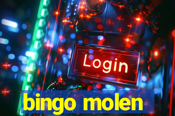 bingo molen