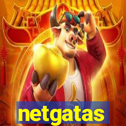 netgatas