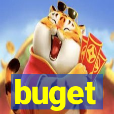 buget