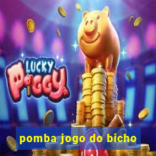 pomba jogo do bicho