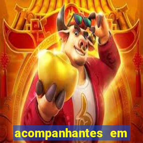 acompanhantes em nova mutum