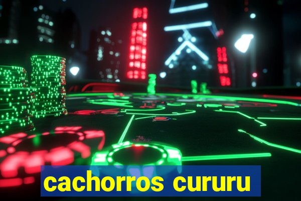 cachorros cururu