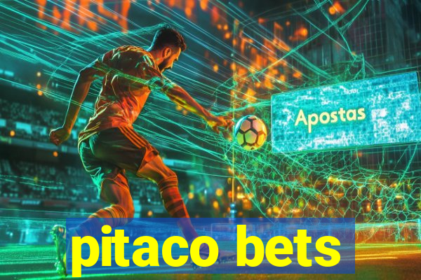 pitaco bets