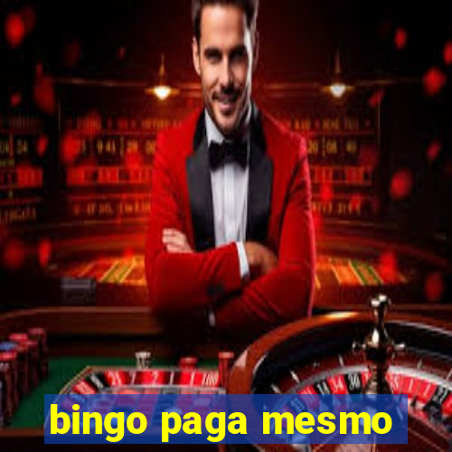 bingo paga mesmo