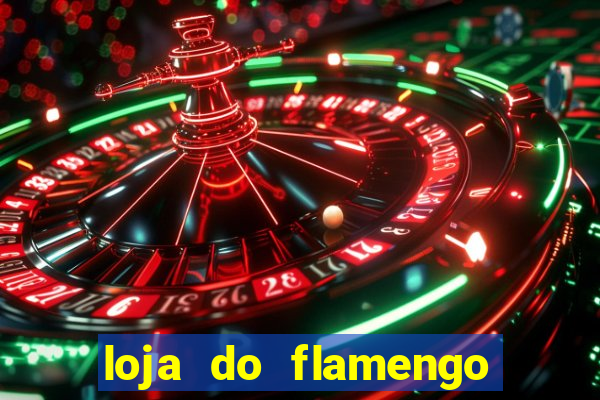 loja do flamengo na asa sul