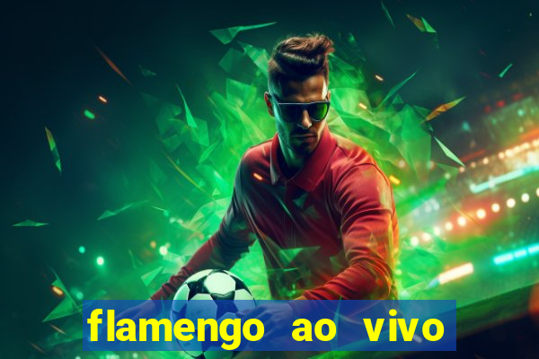 flamengo ao vivo multi tv