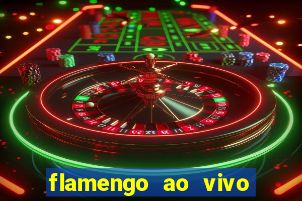 flamengo ao vivo multi tv