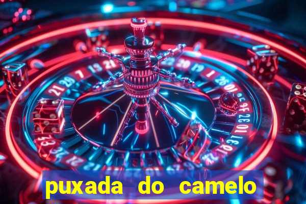 puxada do camelo jogo do bicho