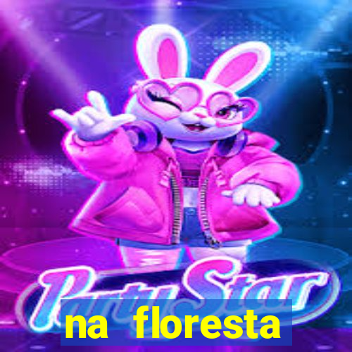 na floresta encantada meme