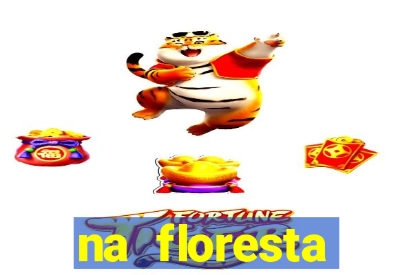 na floresta encantada meme