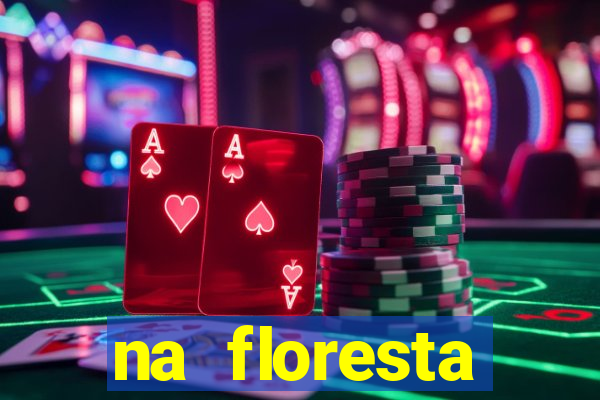 na floresta encantada meme