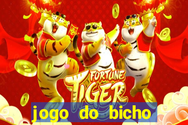 jogo do bicho online df