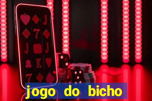 jogo do bicho online df