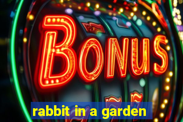 rabbit in a garden