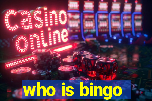 who is bingo