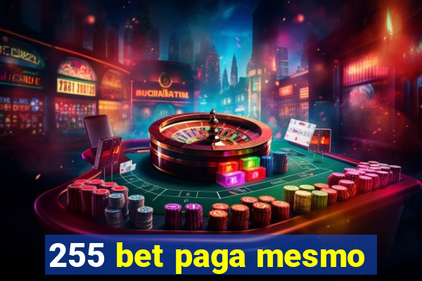 255 bet paga mesmo