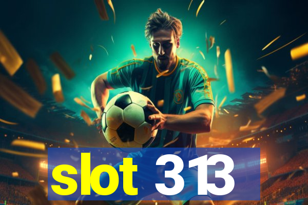 slot 313