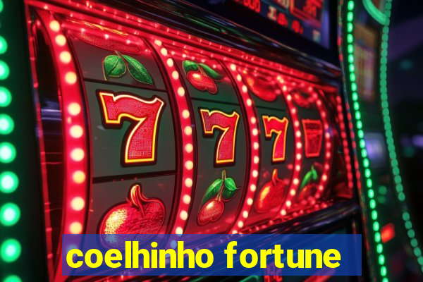 coelhinho fortune