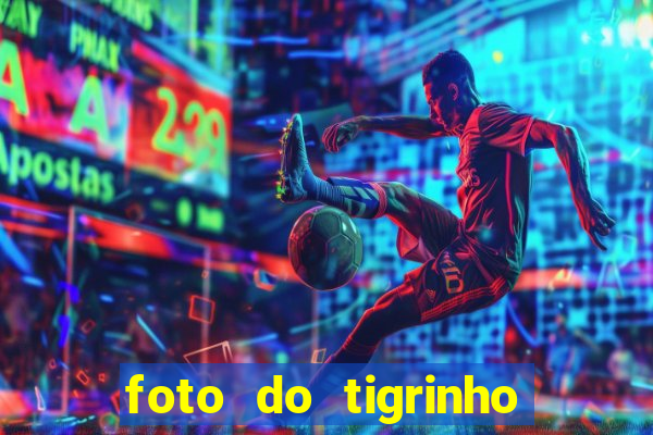 foto do tigrinho do jogo