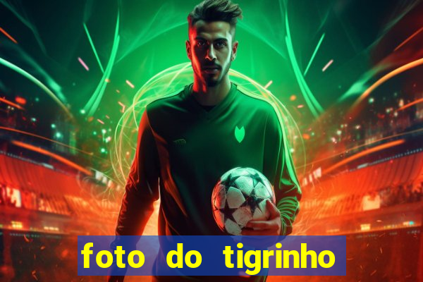 foto do tigrinho do jogo