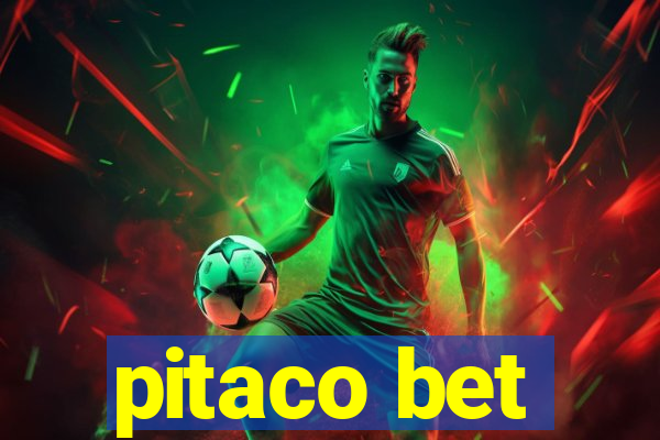 pitaco bet