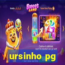 ursinho pg