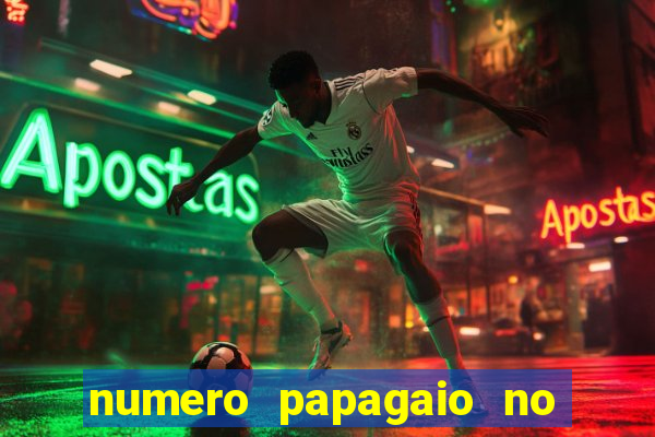 numero papagaio no jogo do bicho