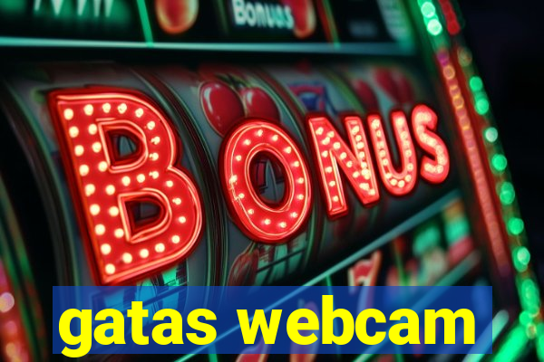 gatas webcam