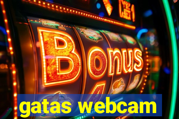 gatas webcam