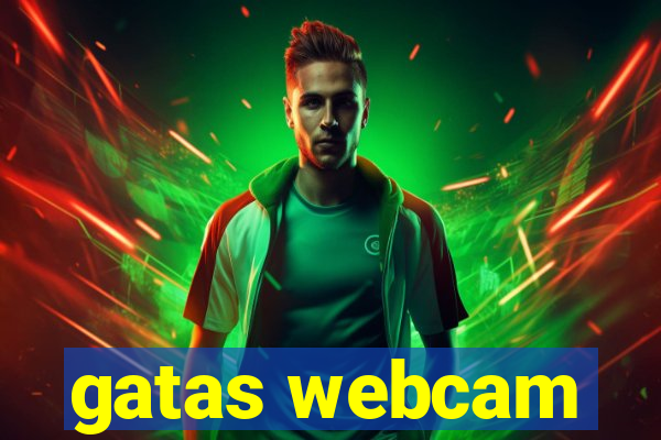 gatas webcam