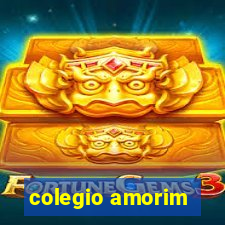 colegio amorim
