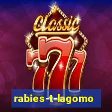 rabies-t-lagomorph
