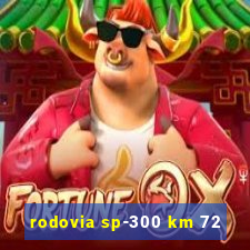 rodovia sp-300 km 72
