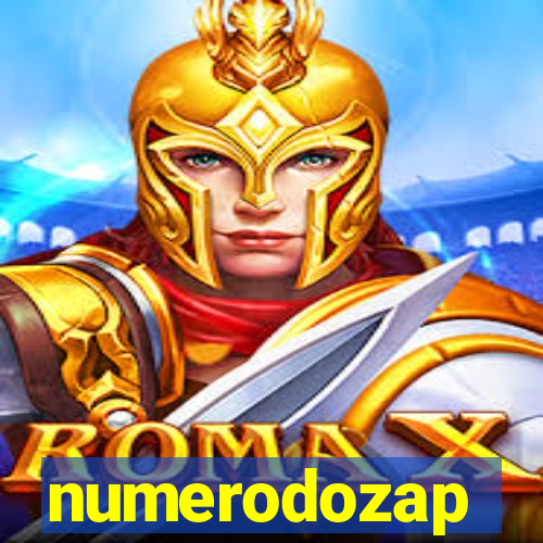 numerodozap