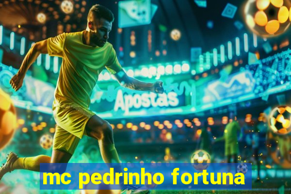 mc pedrinho fortuna