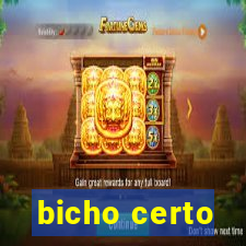 bicho certo