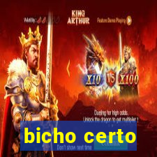 bicho certo