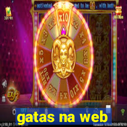 gatas na web